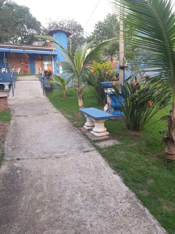 Caminho entre jardins e coqueiros